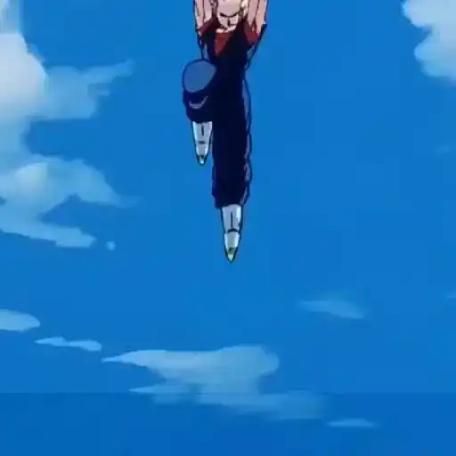 Súper Vegetto 17