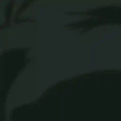 Súper Vegetto 20