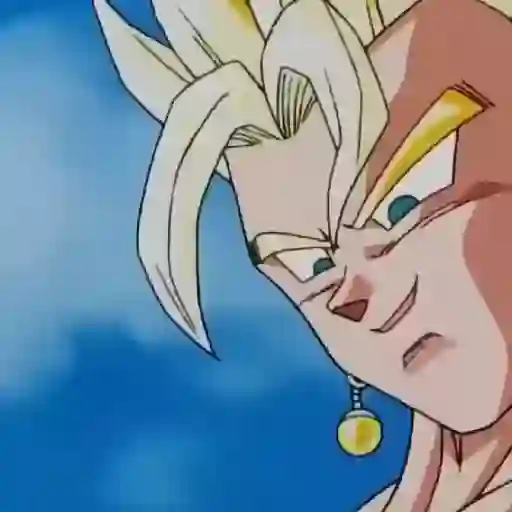 Súper Vegetto 10