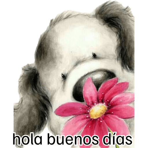 Mis pegatinas 6