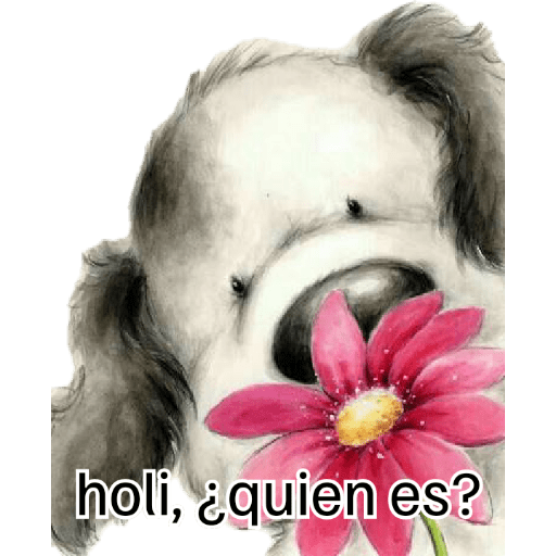 Mis pegatinas 10