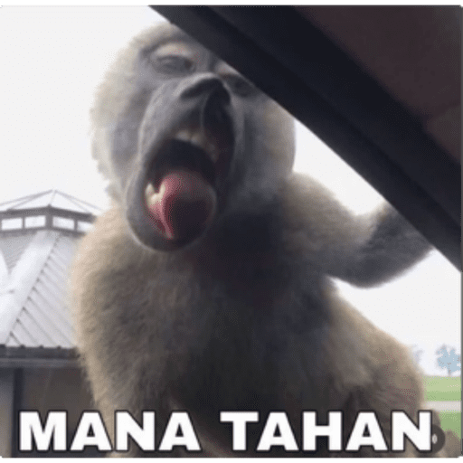 Stiker