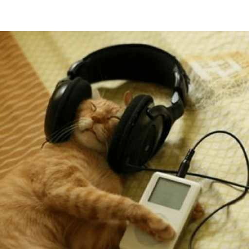 Gatooos! :3 22