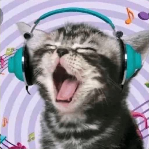 Gatooos! :3 19