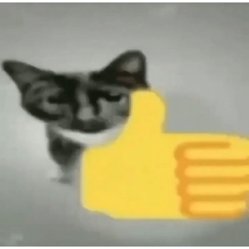 Gatooos! :3 18