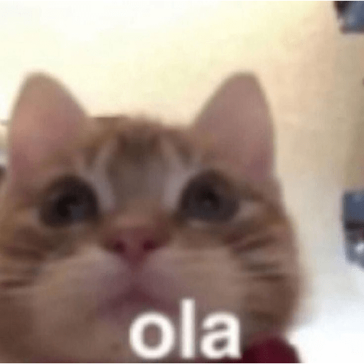 Gatooos! :3 16