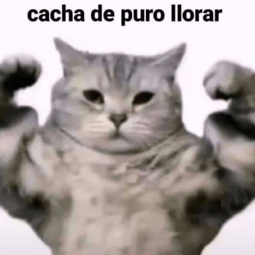 Gatooos! :3 29