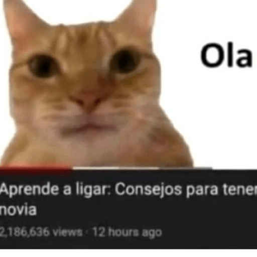 Gatooos! :3 30