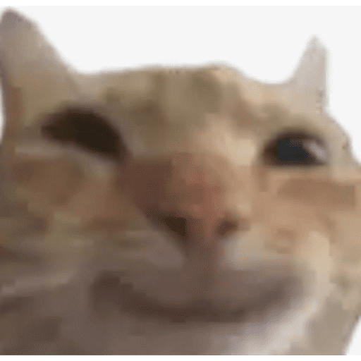 Cat3 2