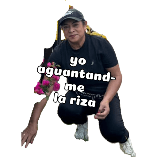 Mis pegatinas 24