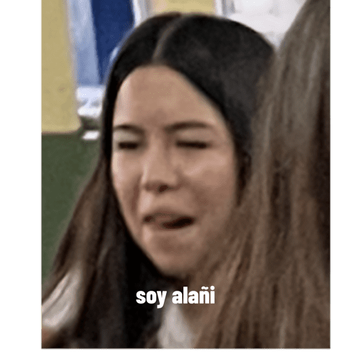 Mis pegatinas