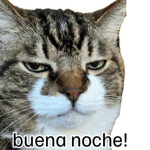 Nuevos 21