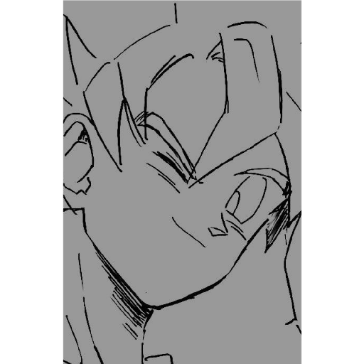 Goku 12
