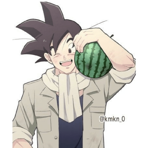 Goku 13