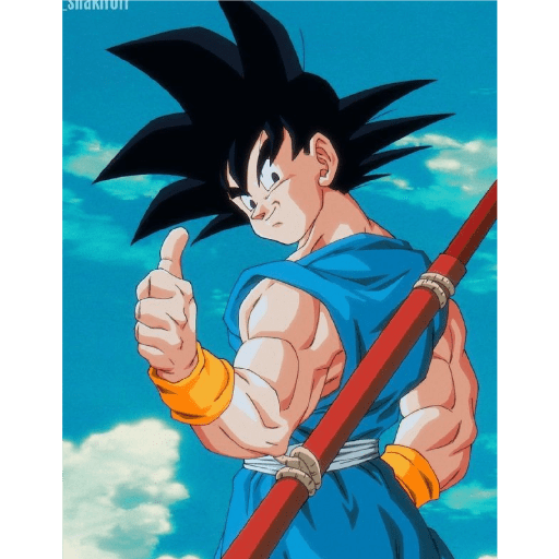Goku 11