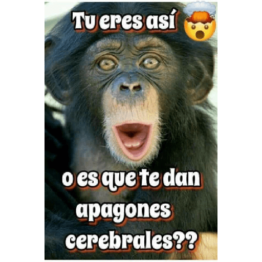 Bendiciones y más 20