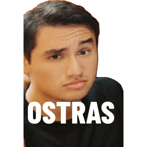 Equisde 13