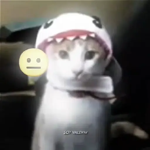 Mi honesta reacción 💋