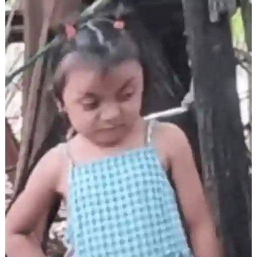 Aleatório animadas