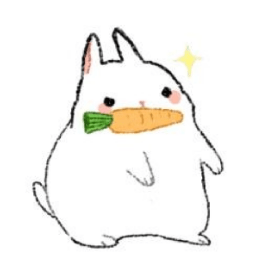 Bunnys ♡ 4