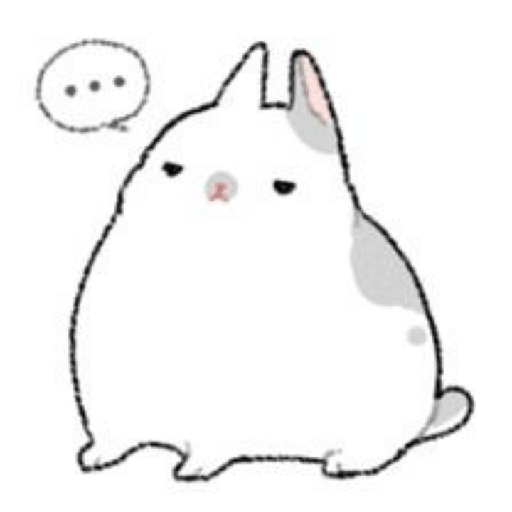 Bunnys ♡ 6