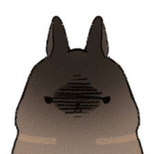 Bunnys ♡ 13