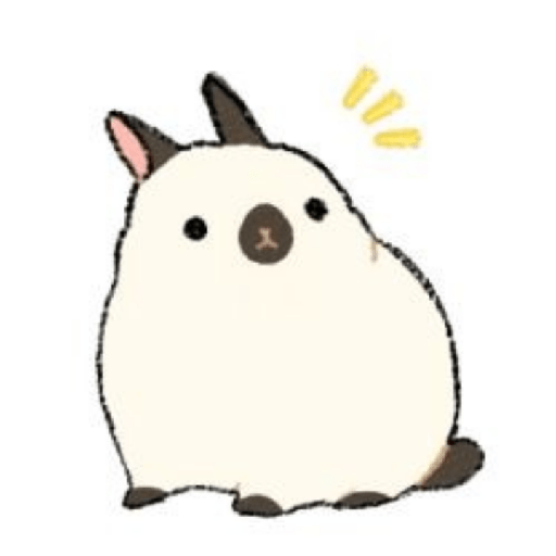 Bunnys ♡ 3