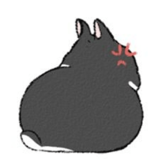 Bunnys ♡ 12
