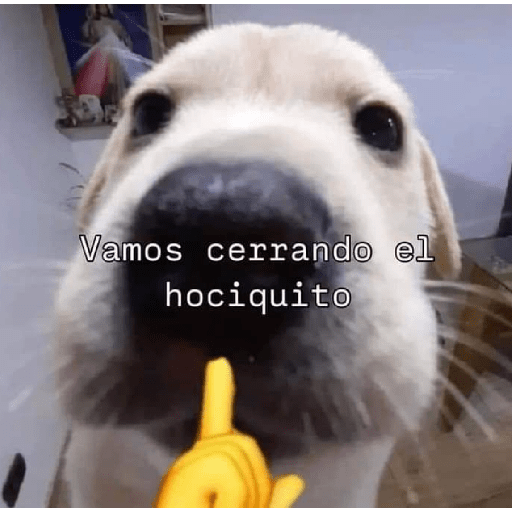 Ranmdos xd 17