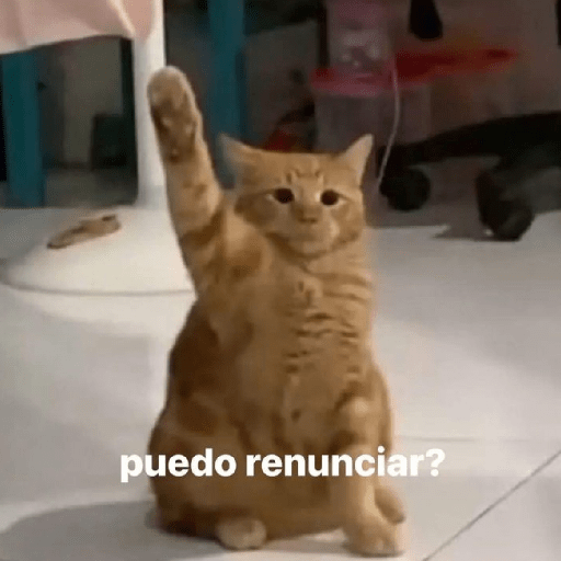 Ranmdos xd 27