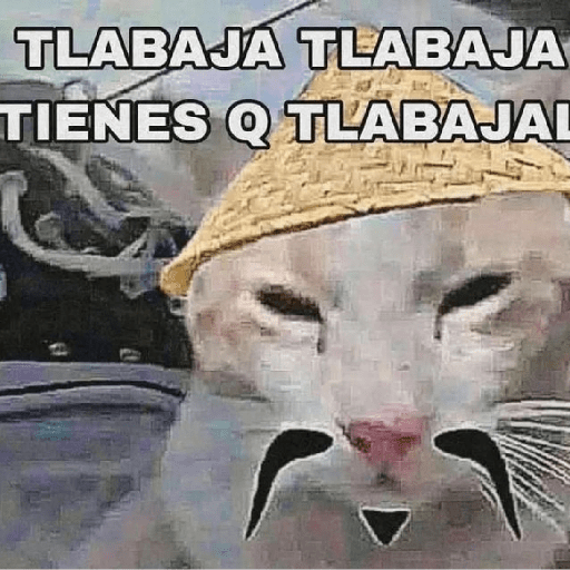Ranmdos xd 5