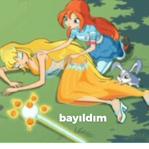Winx club 13