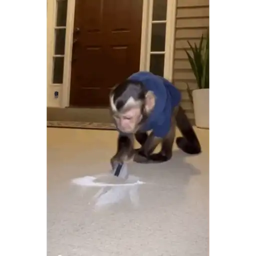 Sam 4