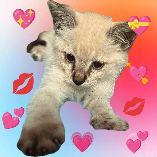 Stickers de Ale 16