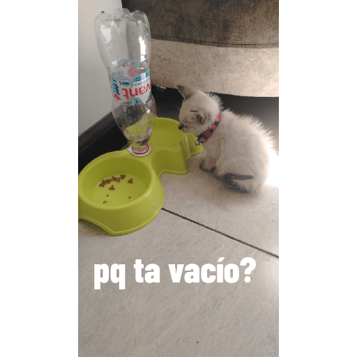 Stickers de Ale 11