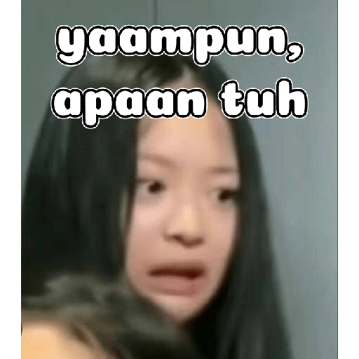 Kpop meme indo 8