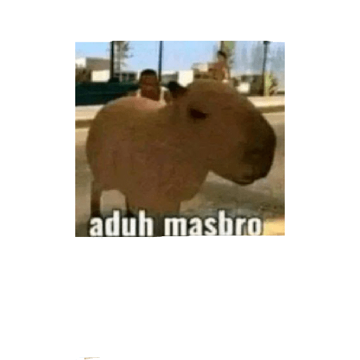 Kpop meme indo 10