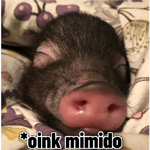 Adhesiu 16