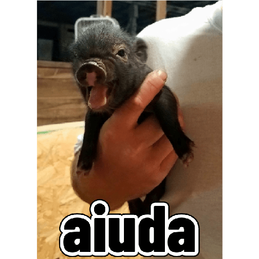 Adhesiu 11