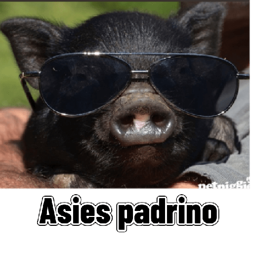 Adhesiu 5