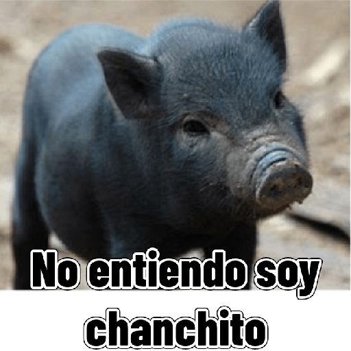 Adhesiu 19