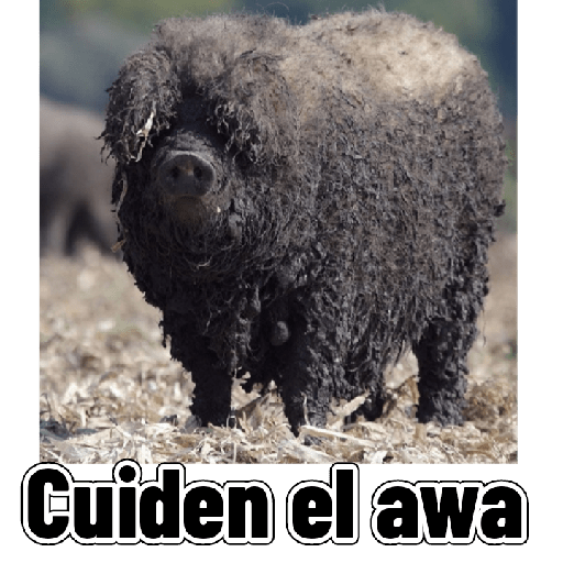 Adhesiu 22