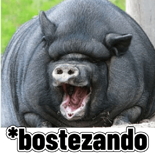 Adhesiu 20