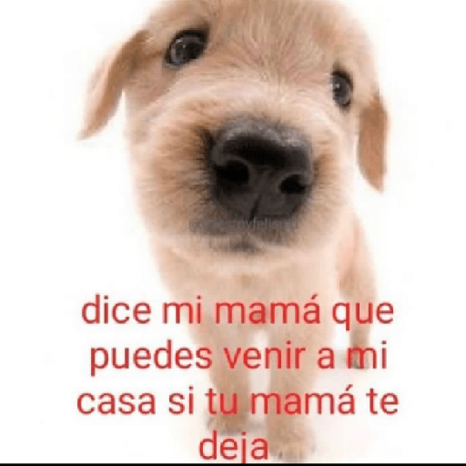 *inserta título perron* :v 28