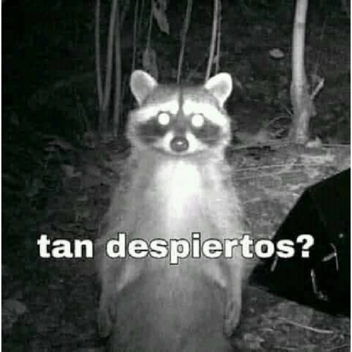 *inserta título perron* :v 29