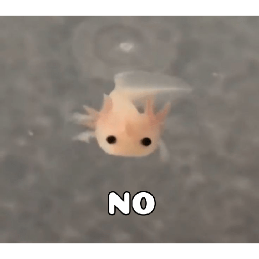 *inserta título perron* :v 6
