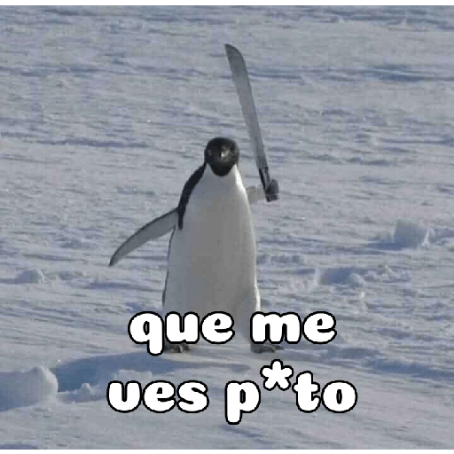 *inserta título perron* :v 7