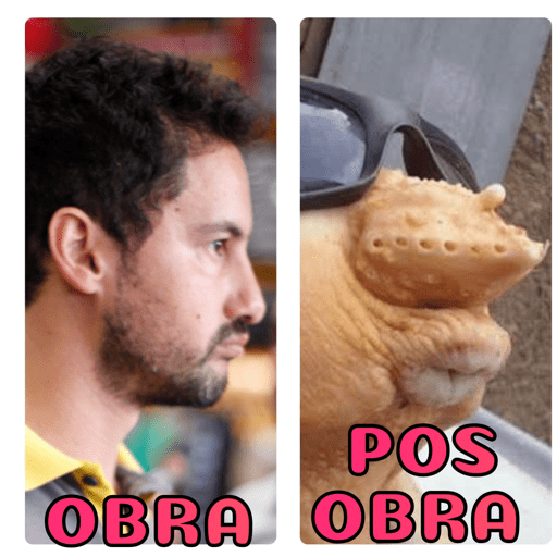 VIRE UM MEME! 25