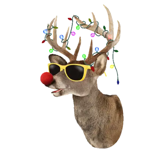 Merry Christmas 17
