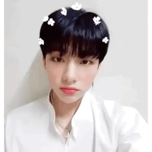 Stray Kids  8